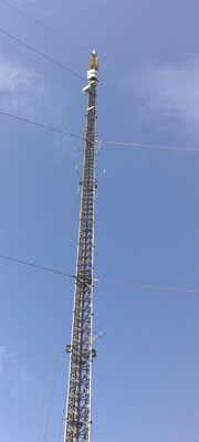 Arqiva Rumster Forest Mast