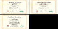 Working at Height Certificates